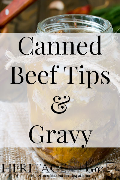 Canned Beef Tips & Gravy