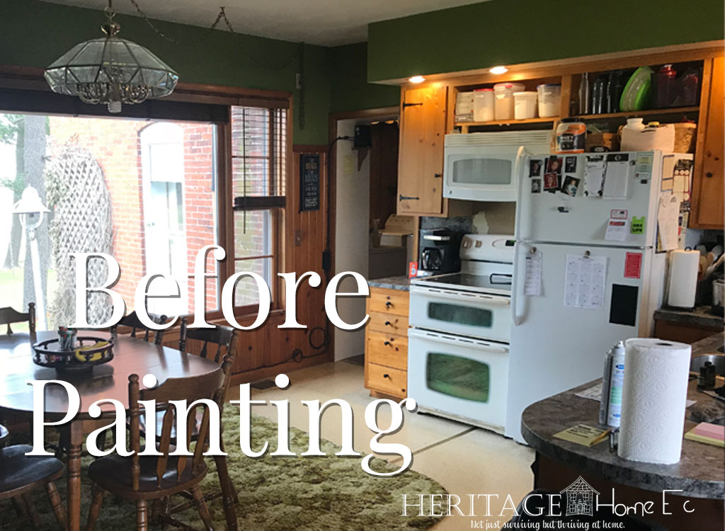 refrigerator in kitchen before spray painting
