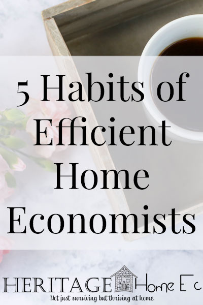 5 Habits of Efficient Home Economists