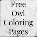 Free Owl Coloring Pages- Heritage Home Ec Remember when you were little and loved nothing more than your crayons? Grab these free owl coloring pages to go back to your childhood. | Kids | Coloring | Activities | Family | Home Economics |