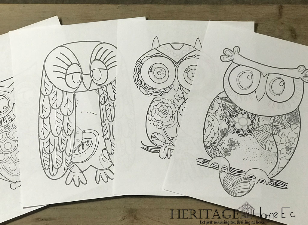 free coloring pages owls for quality family time and stress relief