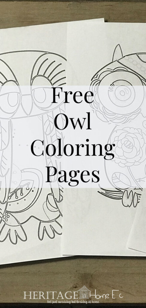 Free Owl Coloring Pages- Heritage Home Ec Remember when you were little and loved nothing more than your crayons? Grab these free owl coloring pages to go back to your childhood. | Kids | Coloring | Activities | Family | Home Economics |