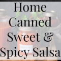 Home Canned Sweet & Spicy Salsa- Heritage Home Ec My Sweet & Spicy Salsa is the perfect blend of spicy with just enough sweet. It's so much better than store-bought! | Canning | Preserving | Homemade | Home Canned | Home Economics |