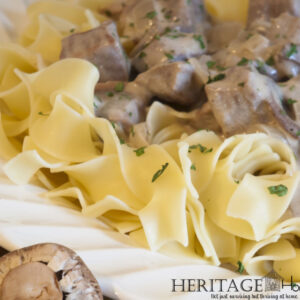 beef stroganoff over egg noodles in white bowl