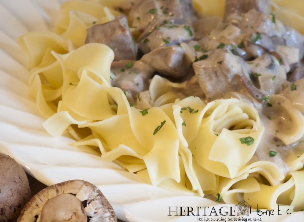beef stroganoff over egg noodles in white bowl