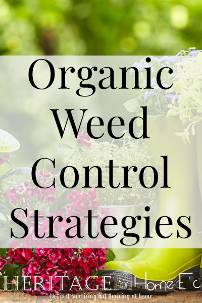 Organic Weed Control