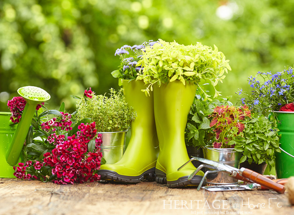 rain boots filled with plants with pots, watering can, buckets and hand tools for gardening