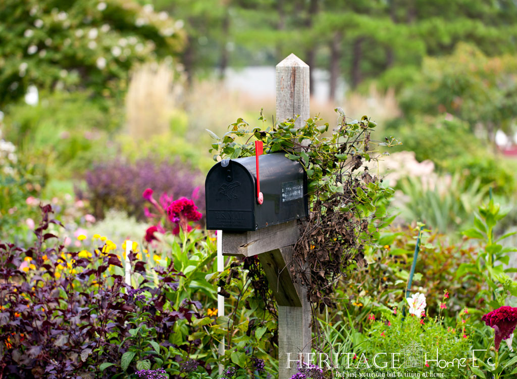 mailbox on wooden post in wild flower garden