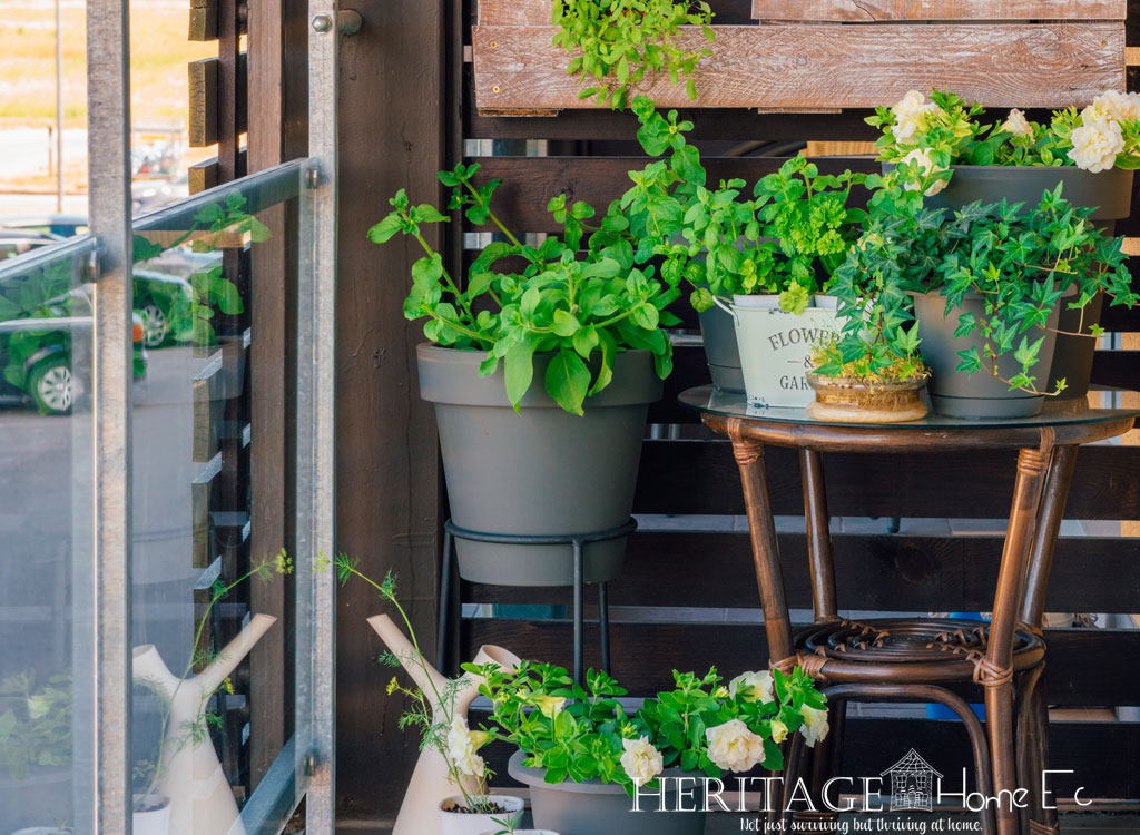 patio of potted plants for container vegetable gardening inspiration