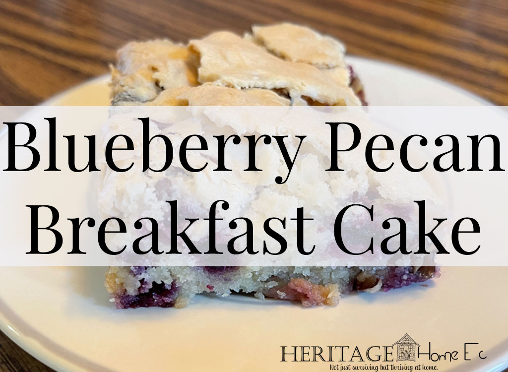 Blueberry Pecan Breakfast Cake- Heritage Home Ec Tired of the same old boring bowl of cold cereal? Glam up your breakfast by making a Blueberry Pecan Breakfast cake to feed your family. | Food | Baking | Breakfast | Homemade | Homemaking |