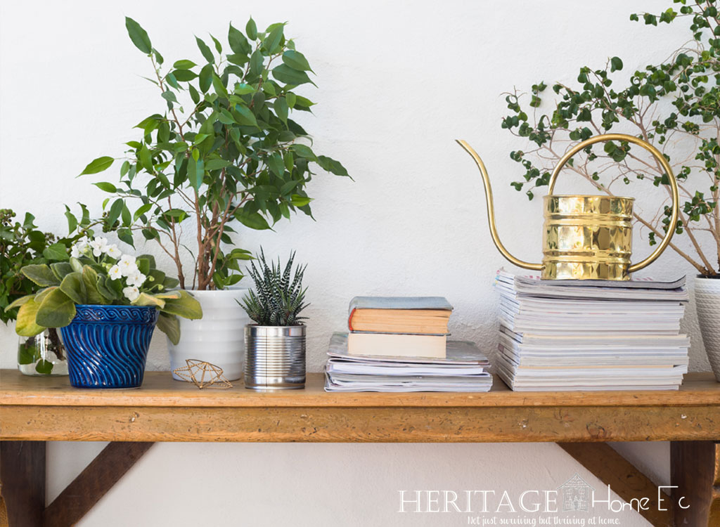 beautiful staged side table with books and plants