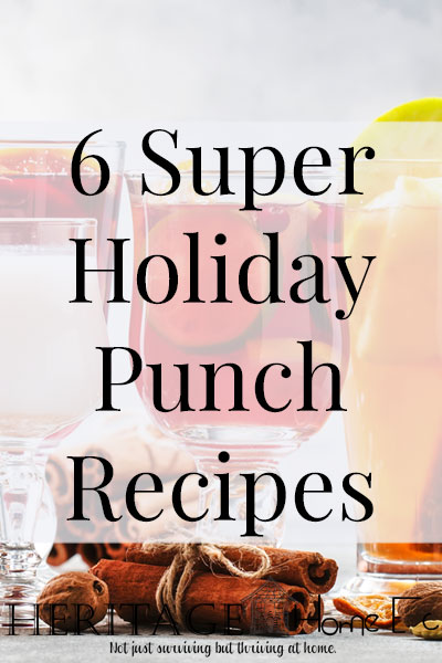 6 Super Holiday Punch Recipes
