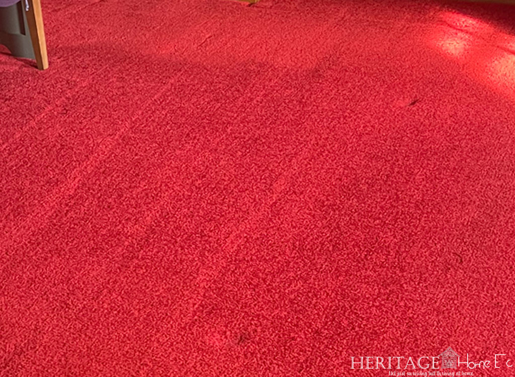 Properly vacuumed lines in red carpet.