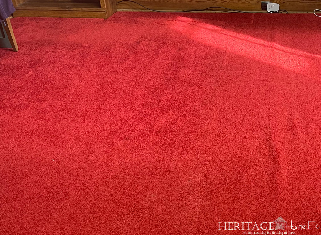 Photo of my red carpet with vacuum lines in right half.