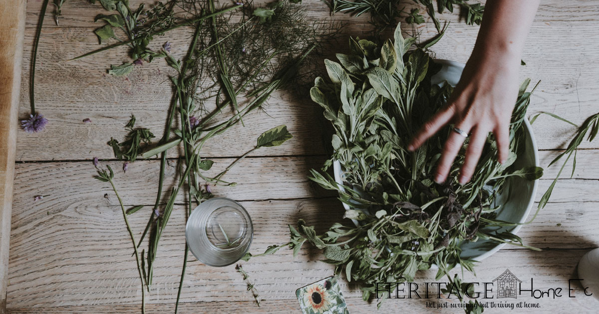 Homemade Herb Dressing Mix with Homegrown Herbs