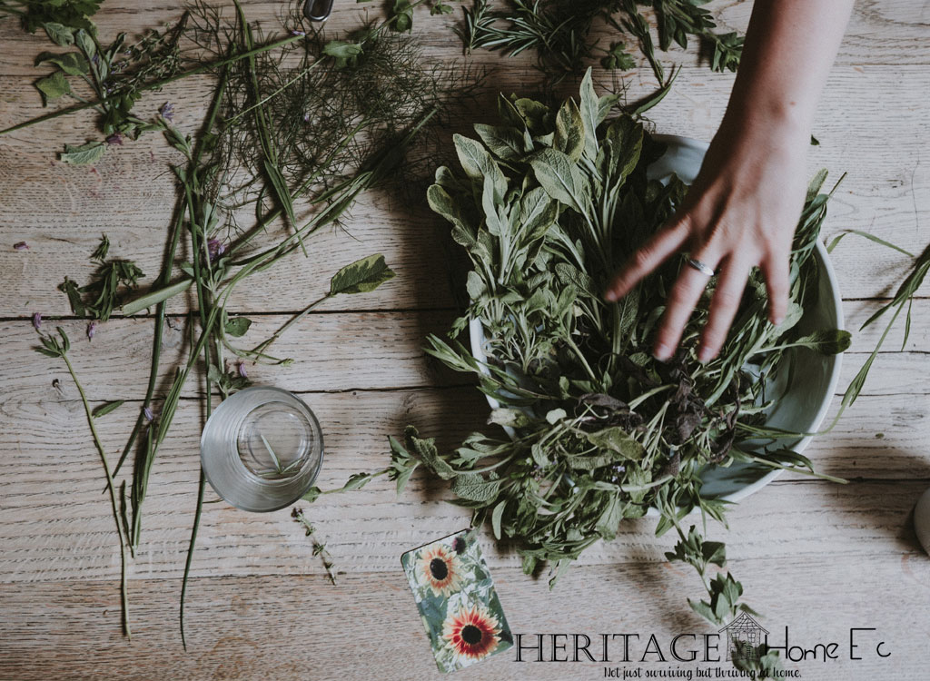 bowl of fresh herbs on wooden background with more scattered and woman grabbing for a bundle