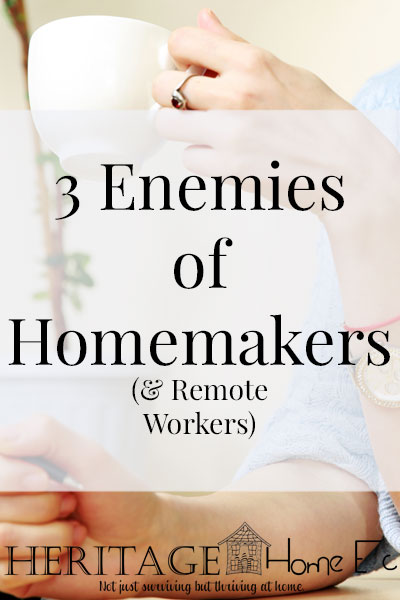 3 Enemies of Homemakers