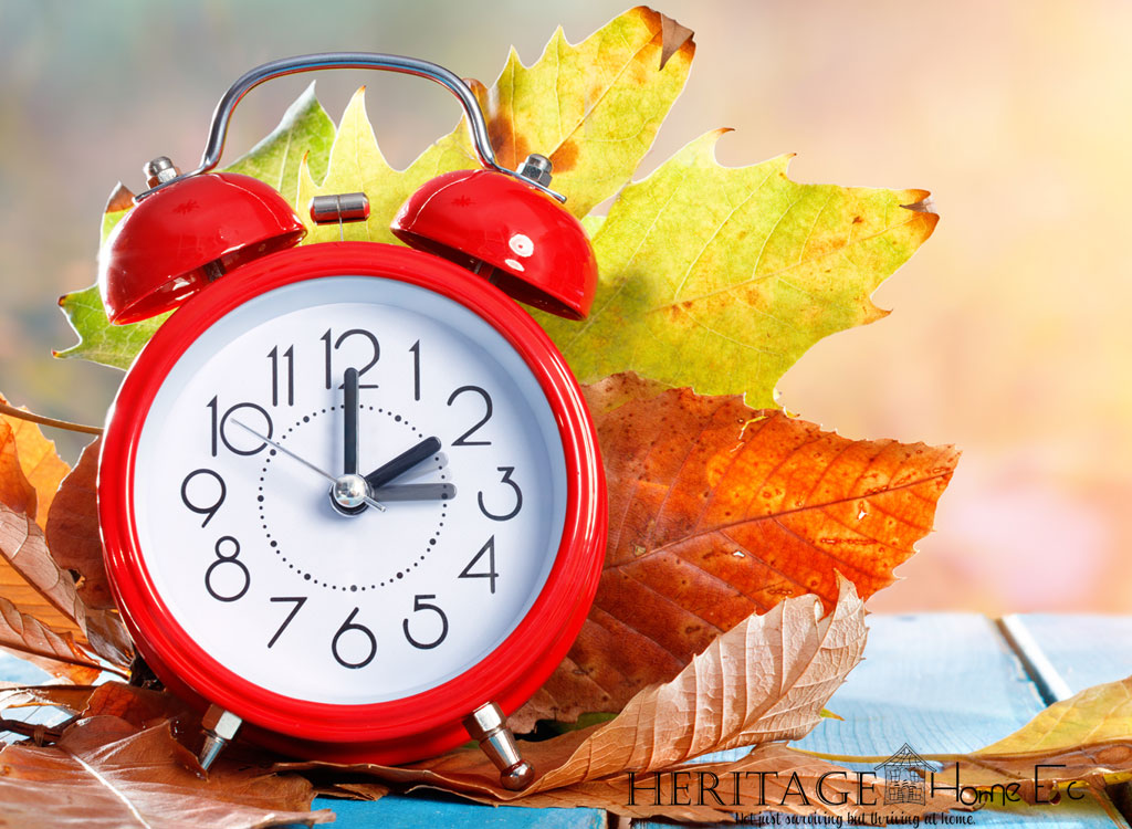 cheery red alarm clock on a back drop of autumn colored leaves
