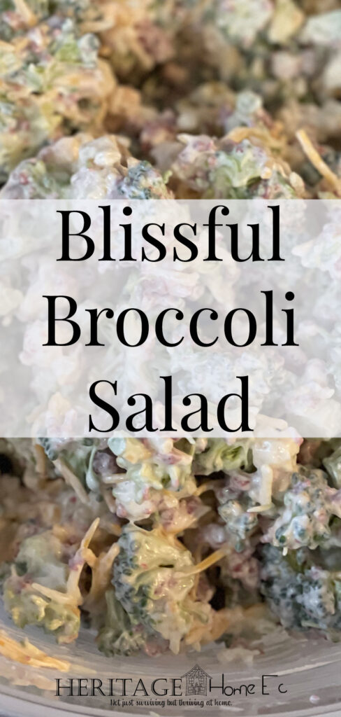 Blissful Broccoli Salad- Heritage Home Ec Sometimes pasta salad or the normal old boring side dishes just don't cut it. Try making a batch of this Blissful Broccoli Salad instead. | Recipes | Side Dishes | Sides | Homemade |